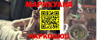 сатива Моздок